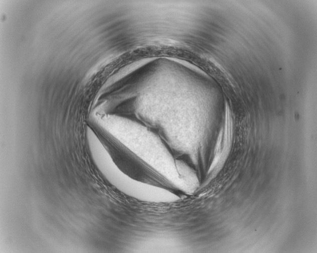 X0000087030919200705141918