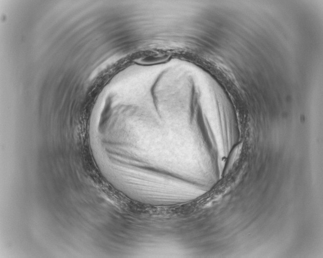 X0000087030920200705141918