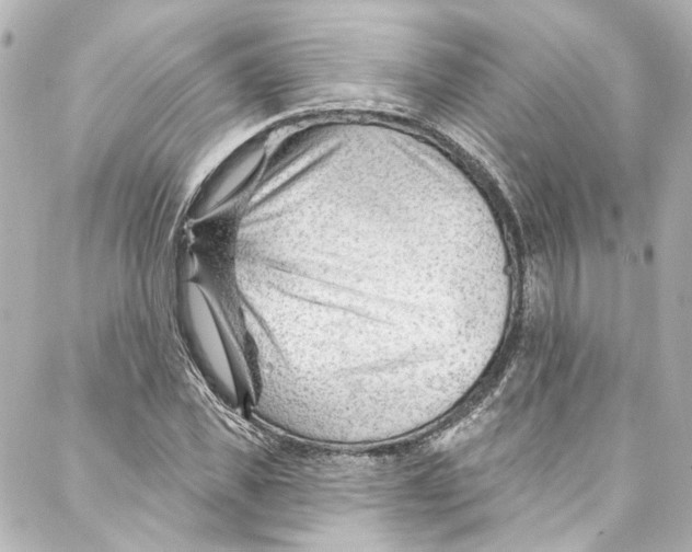 X0000087030925200705141918