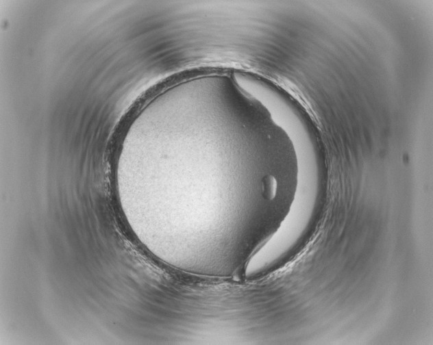 X0000087030926200705141918