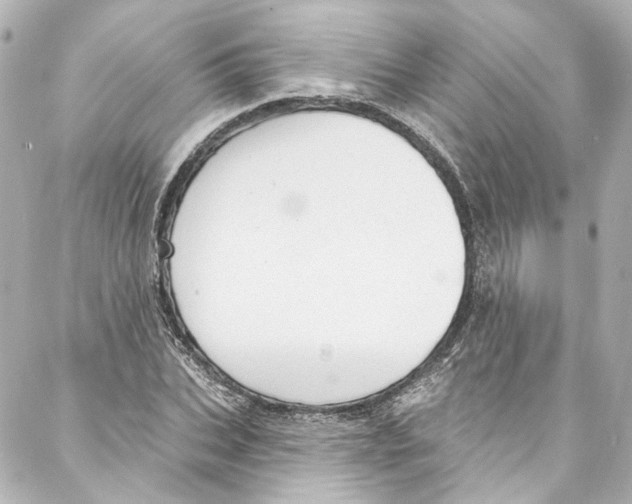 X0000087030927200705141918