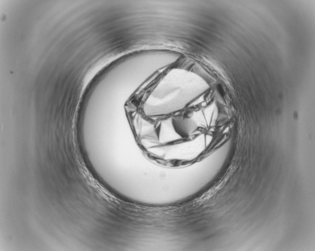 X0000087030928200705141918