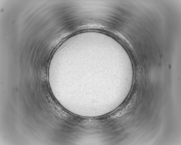 X0000087030929200705141918