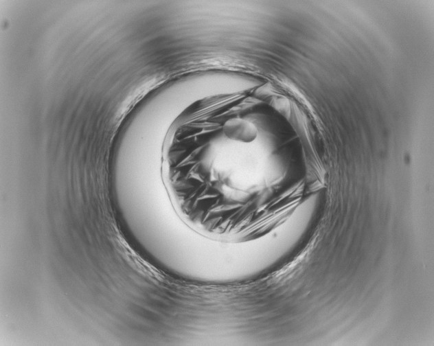 X0000087030930200705141918