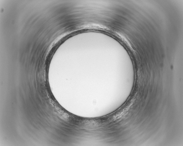 X0000087030931200705141918