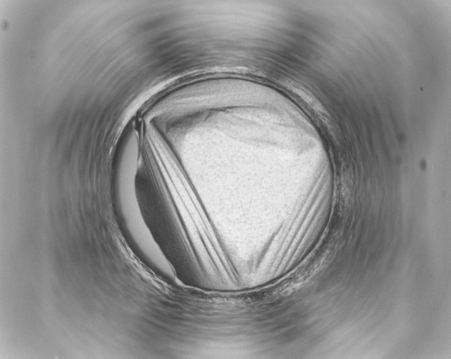 X0000087030933200705141918