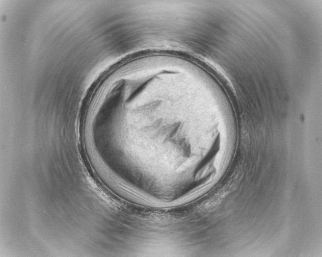 X0000087030935200705141918