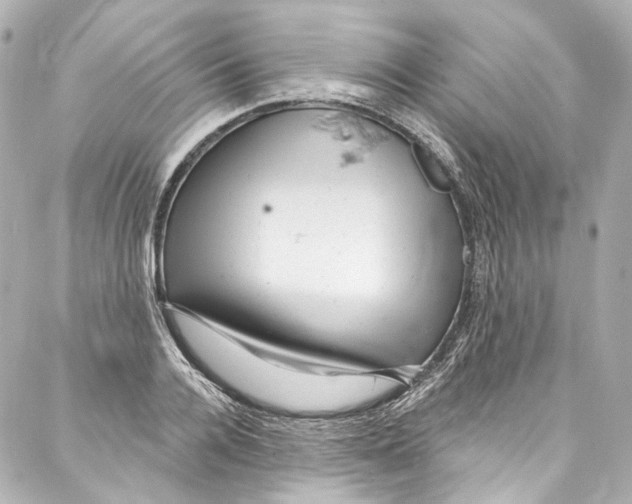 X0000087030936200705141918