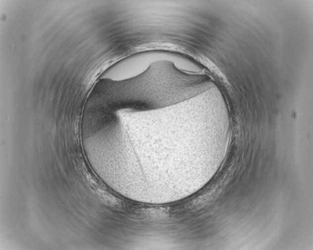 X0000087030937200705141918