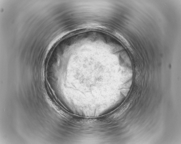 X0000087030939200705141918