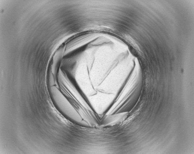 X0000087030940200705141918