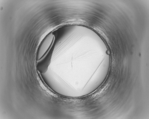 X0000087030941200705141918