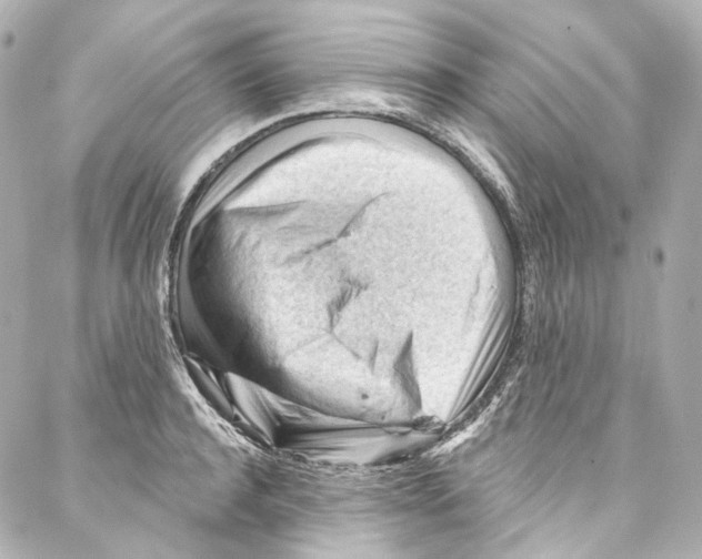 X0000087030944200705141918