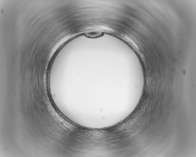 X0000087030947200705141919