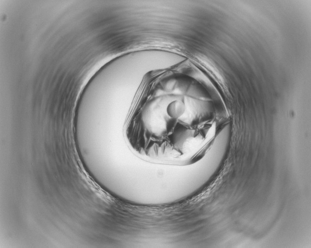 X0000087030948200705141919