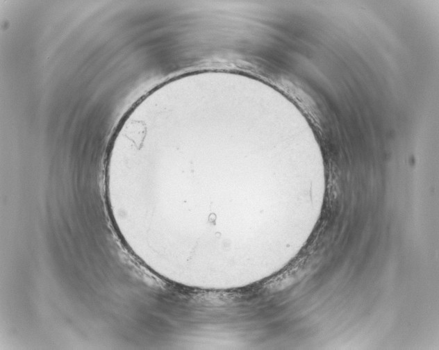 X0000087030950200705141919