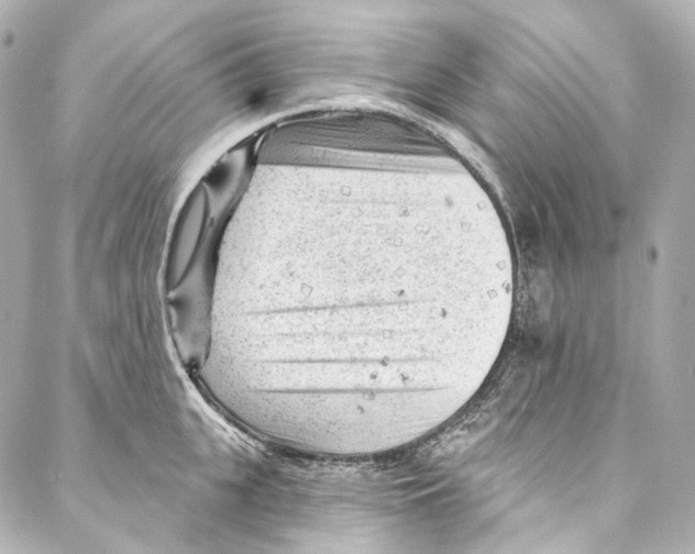 X0000087030951200705141919