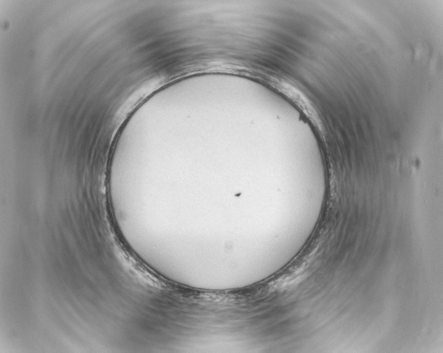 X0000087030954200705141919