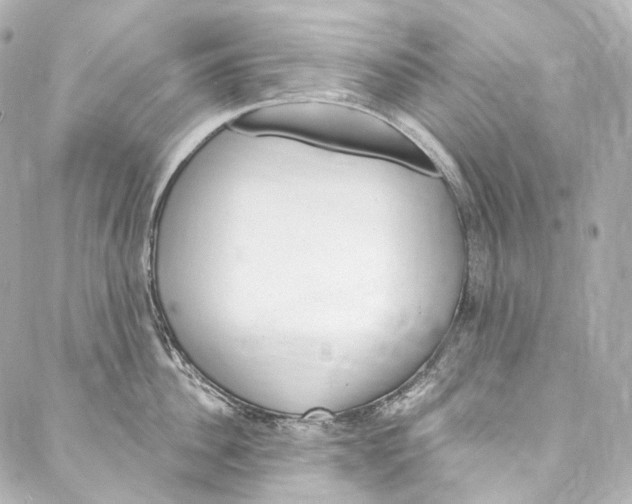 X0000087030956200705141919