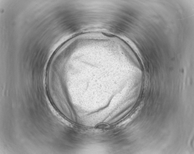 X0000087030957200705141919