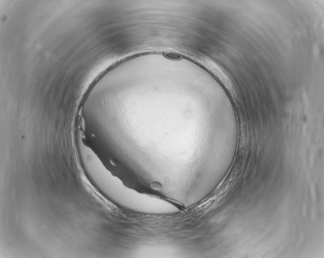 X0000087030958200705141919