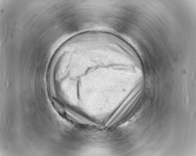 X0000087030959200705141919