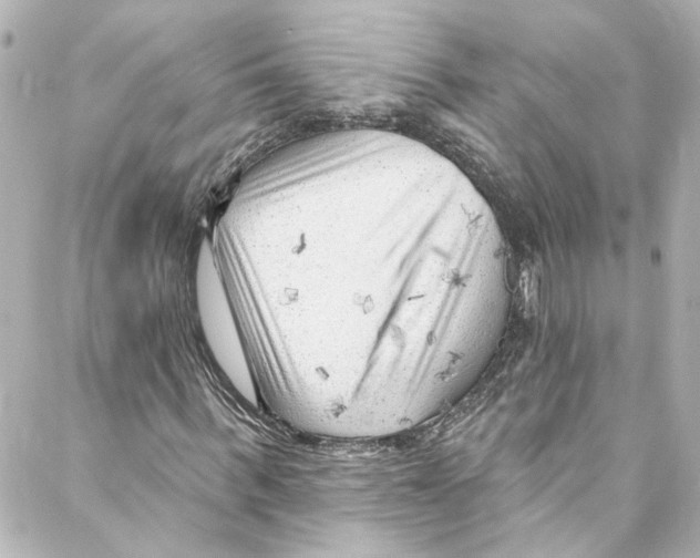 X0000087030963200705141918