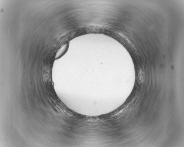 X0000087030964200705141918