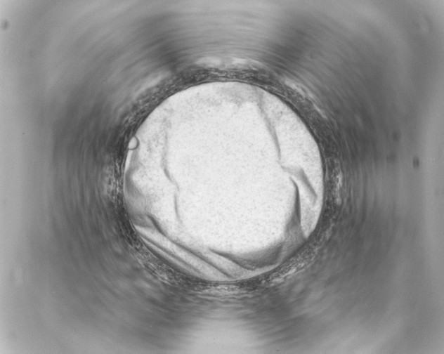 X0000087030966200705141918