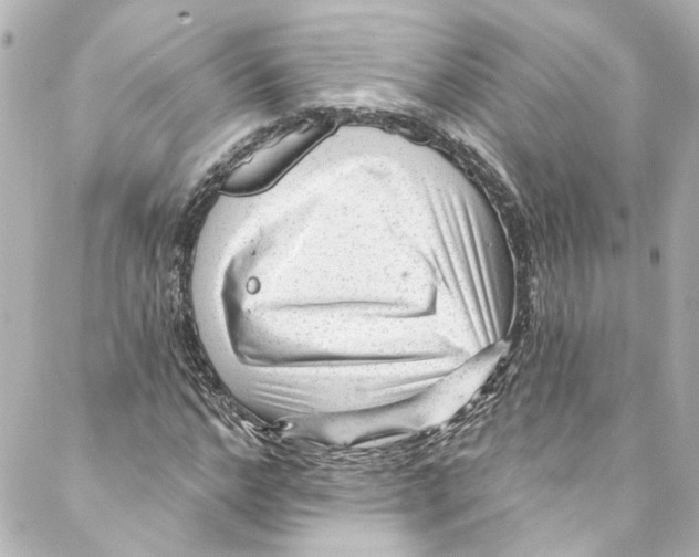 X0000087030968200705141918