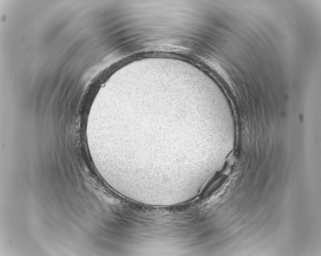 X0000087030971200705141918