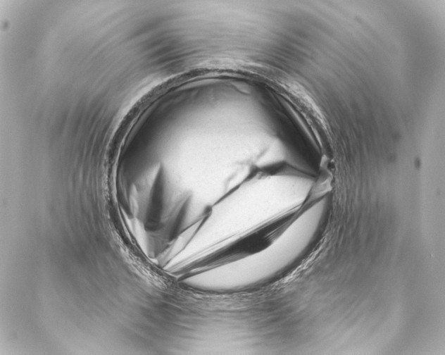 X0000087030976200705141918