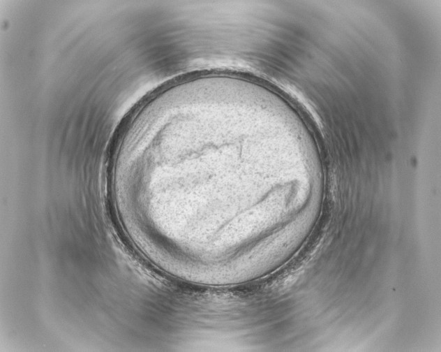 X0000087030983200705141918