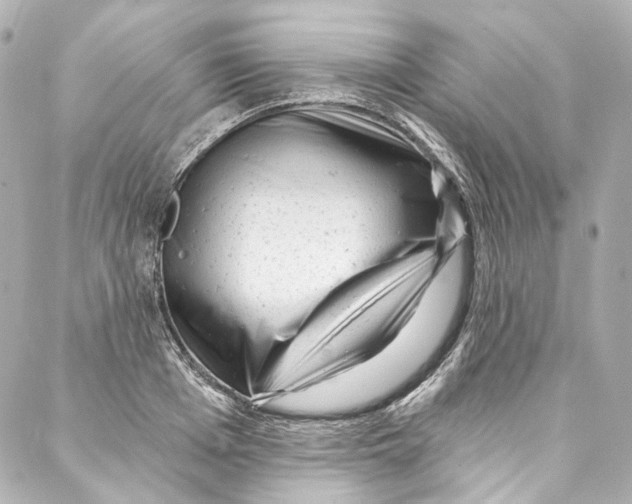 X0000087030985200705141918