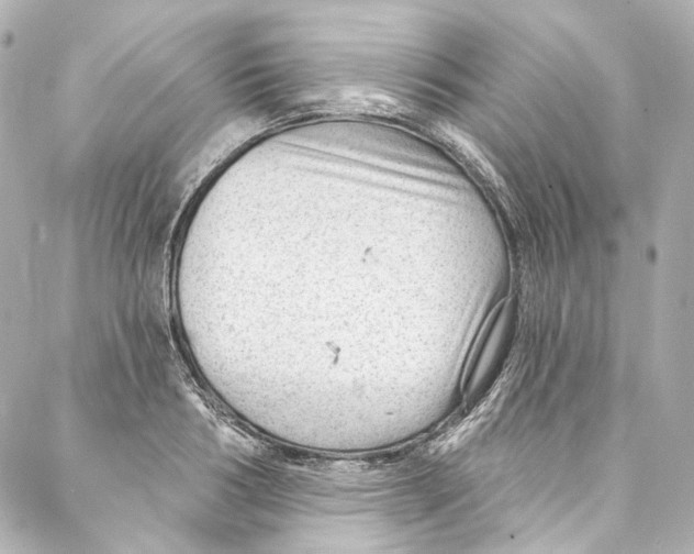 X0000087030986200705141918