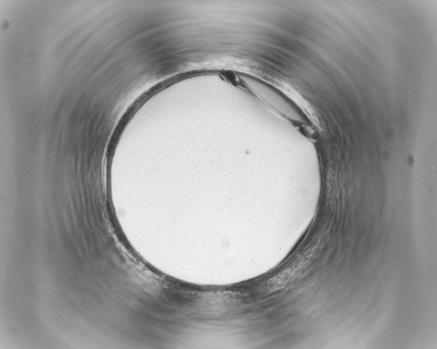 X0000087030988200705141917