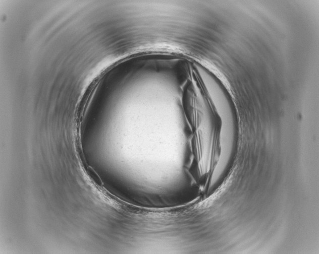 X0000087030989200705141917