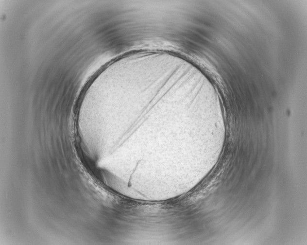 X0000087030990200705141917