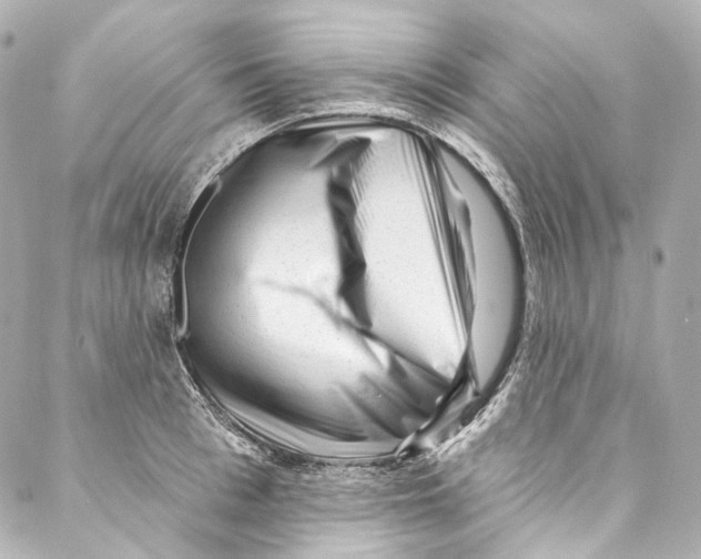 X0000087030993200705141917