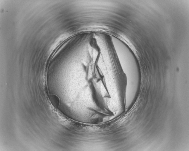 X0000087030994200705141917