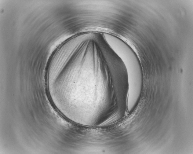 X0000087030995200705141917