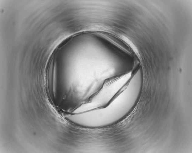 X0000087030996200705141917