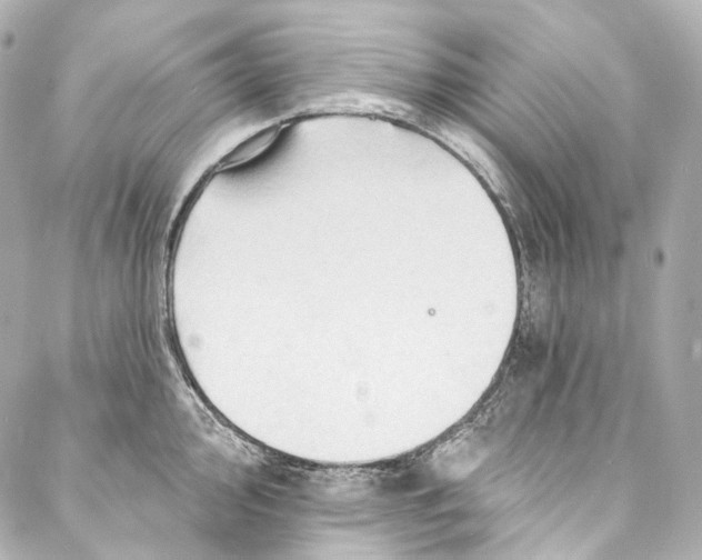 X0000087031000200705141917