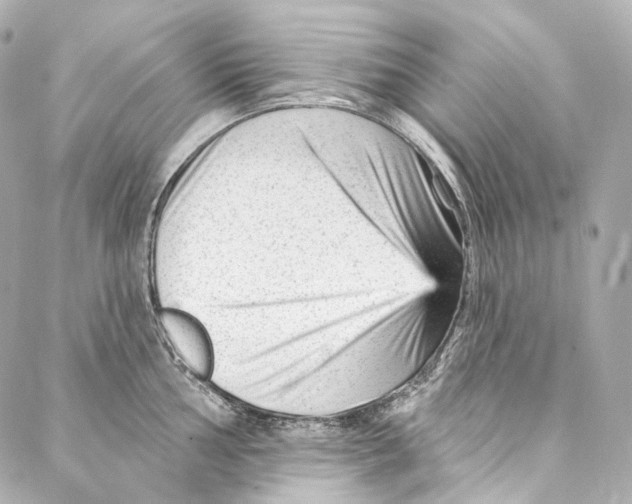 X0000087031002200705141917