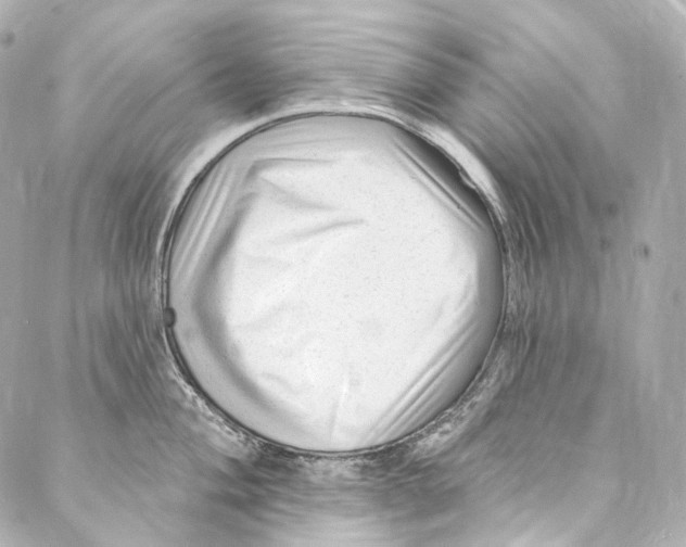 X0000087031004200705141917