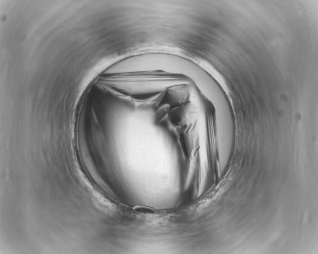 X0000087031005200705141917