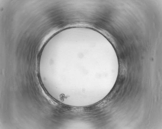 X0000087031006200705141917