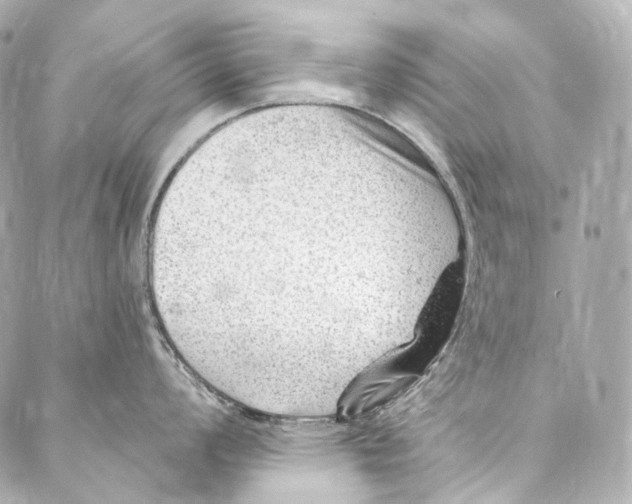 X0000087031008200705141917