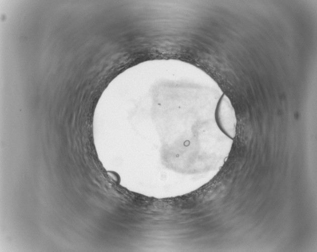 X0000087031009200705141916