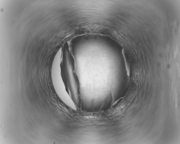 X0000087031010200705141916